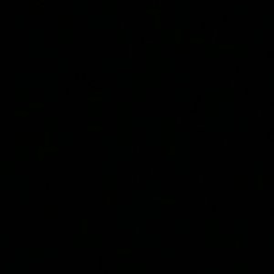 Meet your Posher, Rylie